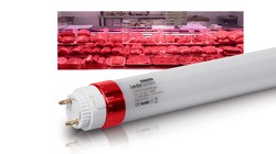 LED strømrør 45 cm