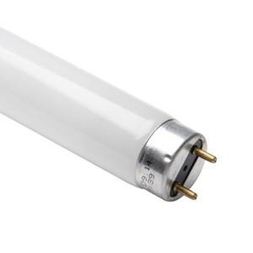 CLAR TUBO LED T8 45CM 7.5W BL  G13