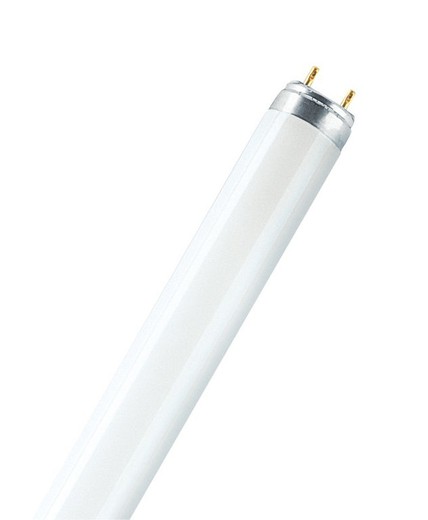 Lumilux 51w / 840 lamp is 150 mm