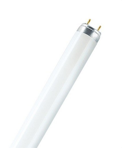 Lumilux-l 15w / 830 diamètre de la lampe 26mm