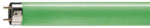 Philips 95449740 fluoreszierende tl-d 58w-17 grüne startergrundierung