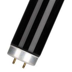 Bailey tinha tubo de flúor. F 58w / blb