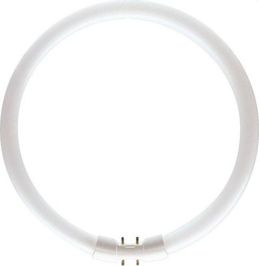 64223325 Philips Fluorescente circular master tl5 diámetro 16mm 40w/840