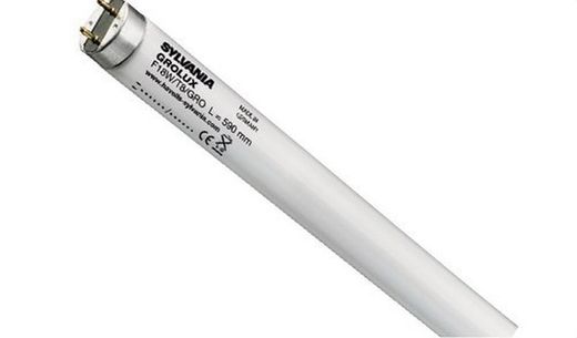 Leuchtstofflampe gro-lux f15w / gro