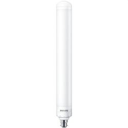Lâmpada LED tforce les sox d 40-31w b22d