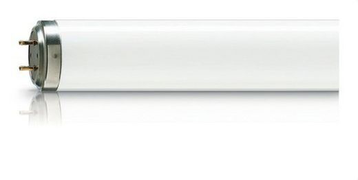 61262540 philips lámpara reprografía tl 80w/10-r