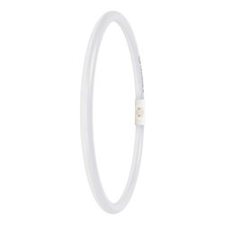 LEDVANCE 4099854300882 TUBO LED circular T5 EXT FC55 P 21.5W 840 2GX13
