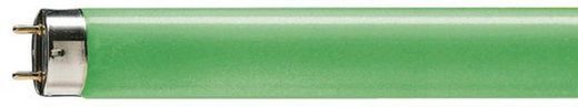 Philips 95449740 fluorescente tl-d 58w-17 verde arranque cebador